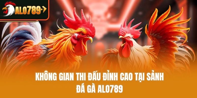 Không gian thi đấu đỉnh cao tại sảnh đá gà Alo789