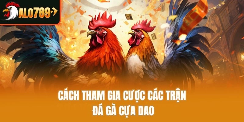 Cách tham gia cược các trận đá gà cựa dao